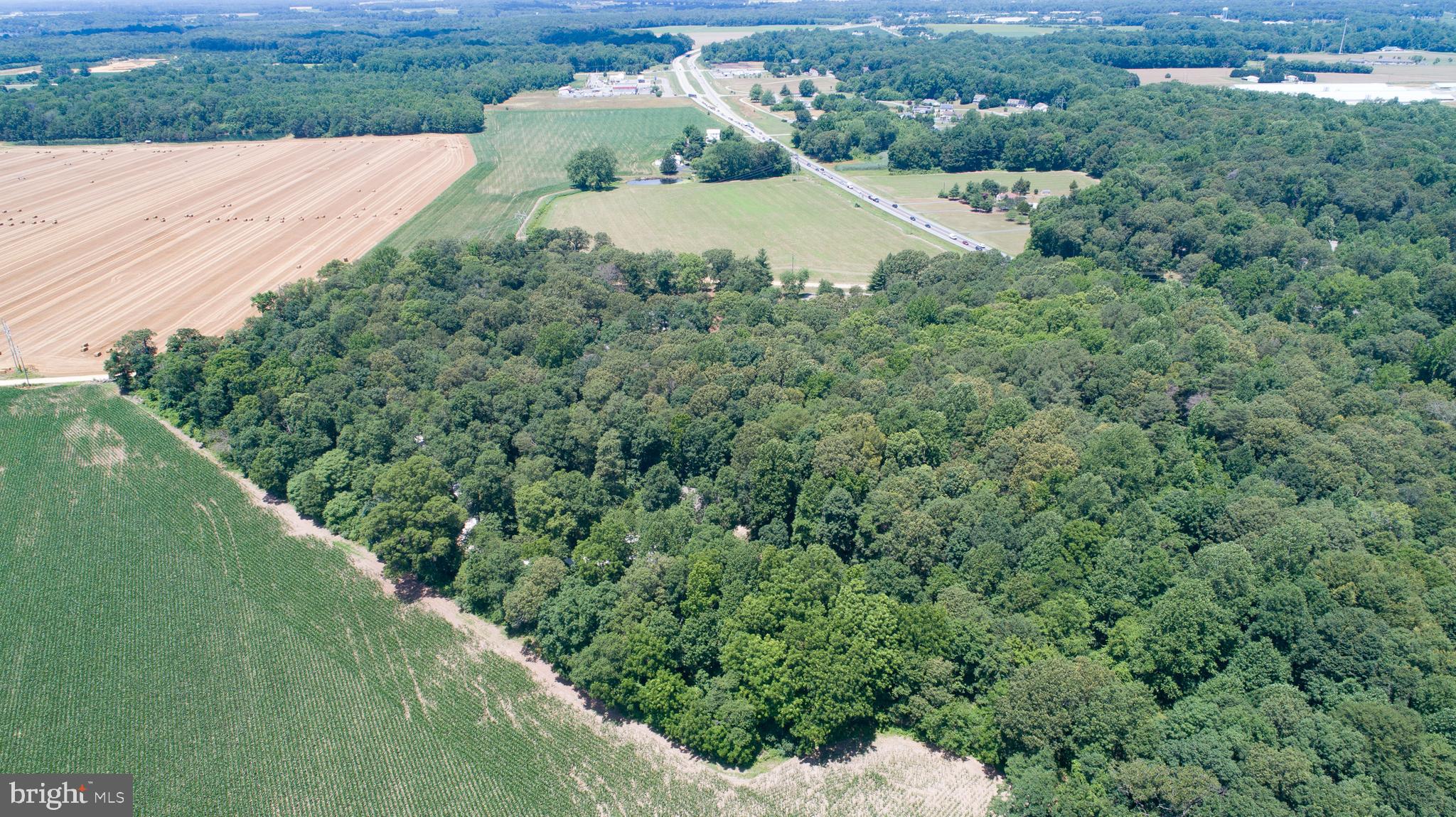 8585 Mitchell Road Denton, MD 21629 - Photo 62 of 65