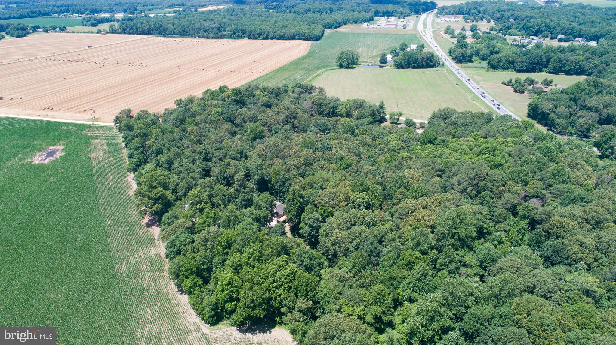 8585 Mitchell Road Denton, MD 21629 - Photo 63 of 65