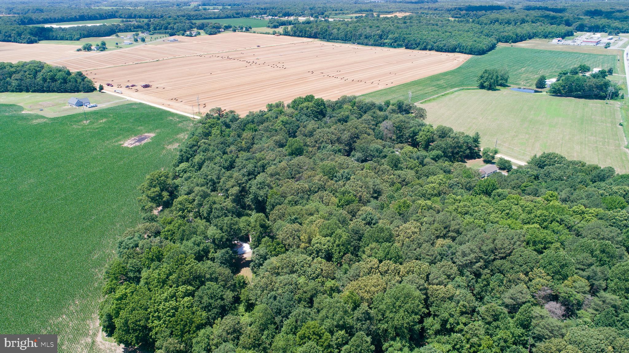 8585 Mitchell Road Denton, MD 21629 - Photo 64 of 65