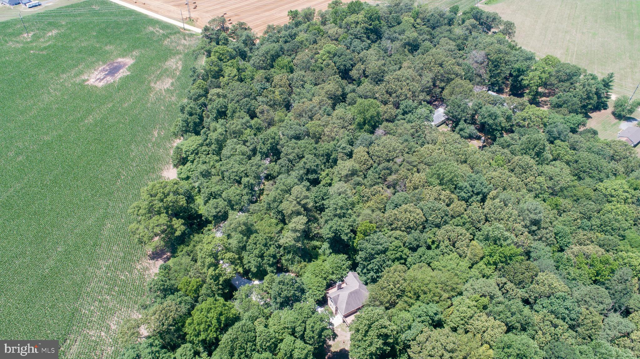 8585 Mitchell Road Denton, MD 21629 - Photo 65 of 65