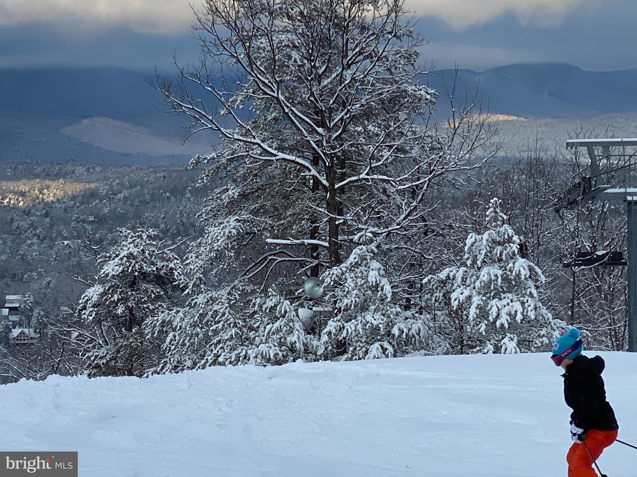 20 Ridge Court Basye, VA 22842 - Photo 54 of 106 Skiing