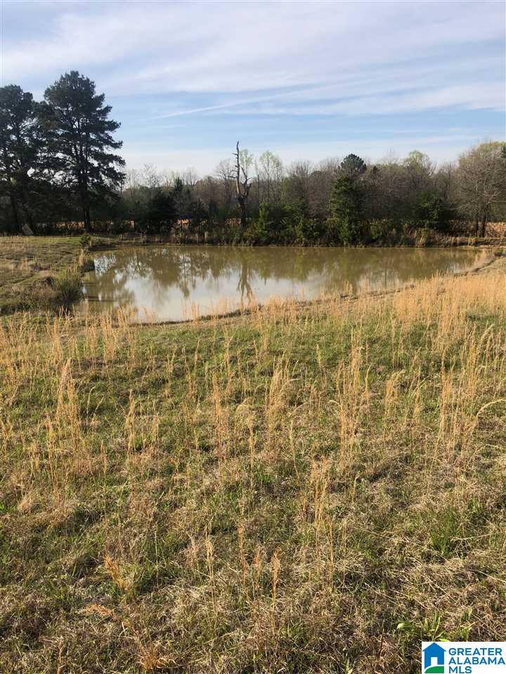 0 Deaver Walker Road, Unit 16 Cleveland, AL 35049 - Photo 11 of 11