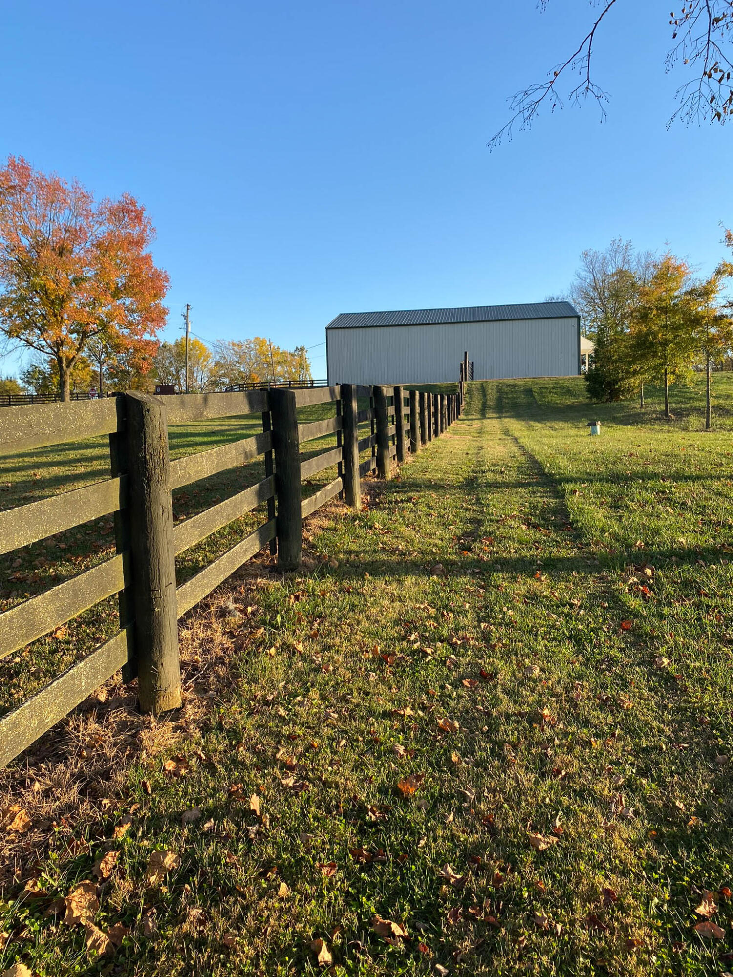 2425 Handys Bend Road Wilmore, KY 40390 - Photo 30 of 44 Handys Bend Edited (20 of 48)