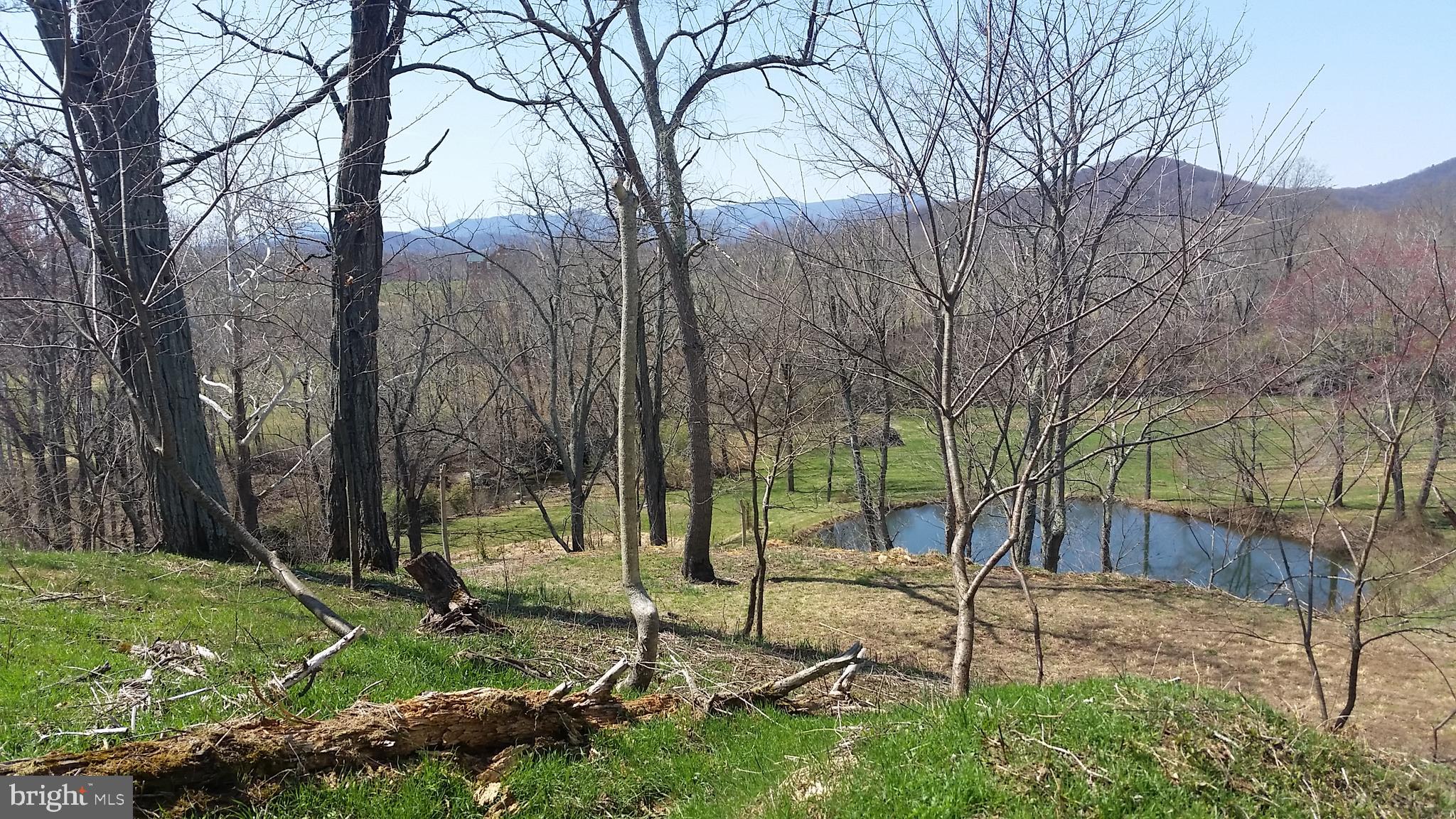 0 Tiger Valley Road Washington, VA 22747 - Photo 1 of 12 View from potential homesite