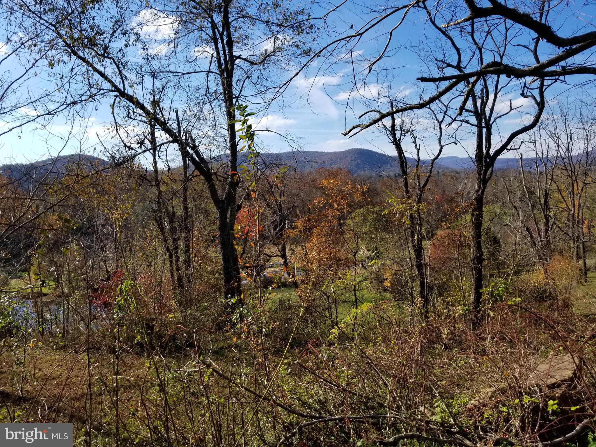 0 Tiger Valley Road Washington, VA 22747 - Photo 2 of 12 View from potential homesite