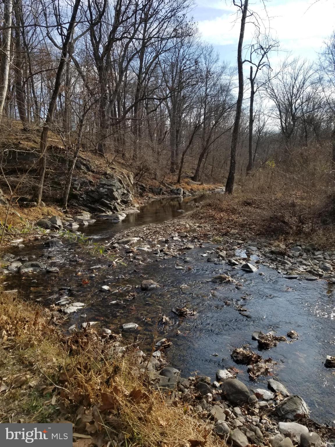 0 Tiger Valley Road Washington, VA 22747 - Photo 4 of 12 Rush River borders approx 1700 ft of property