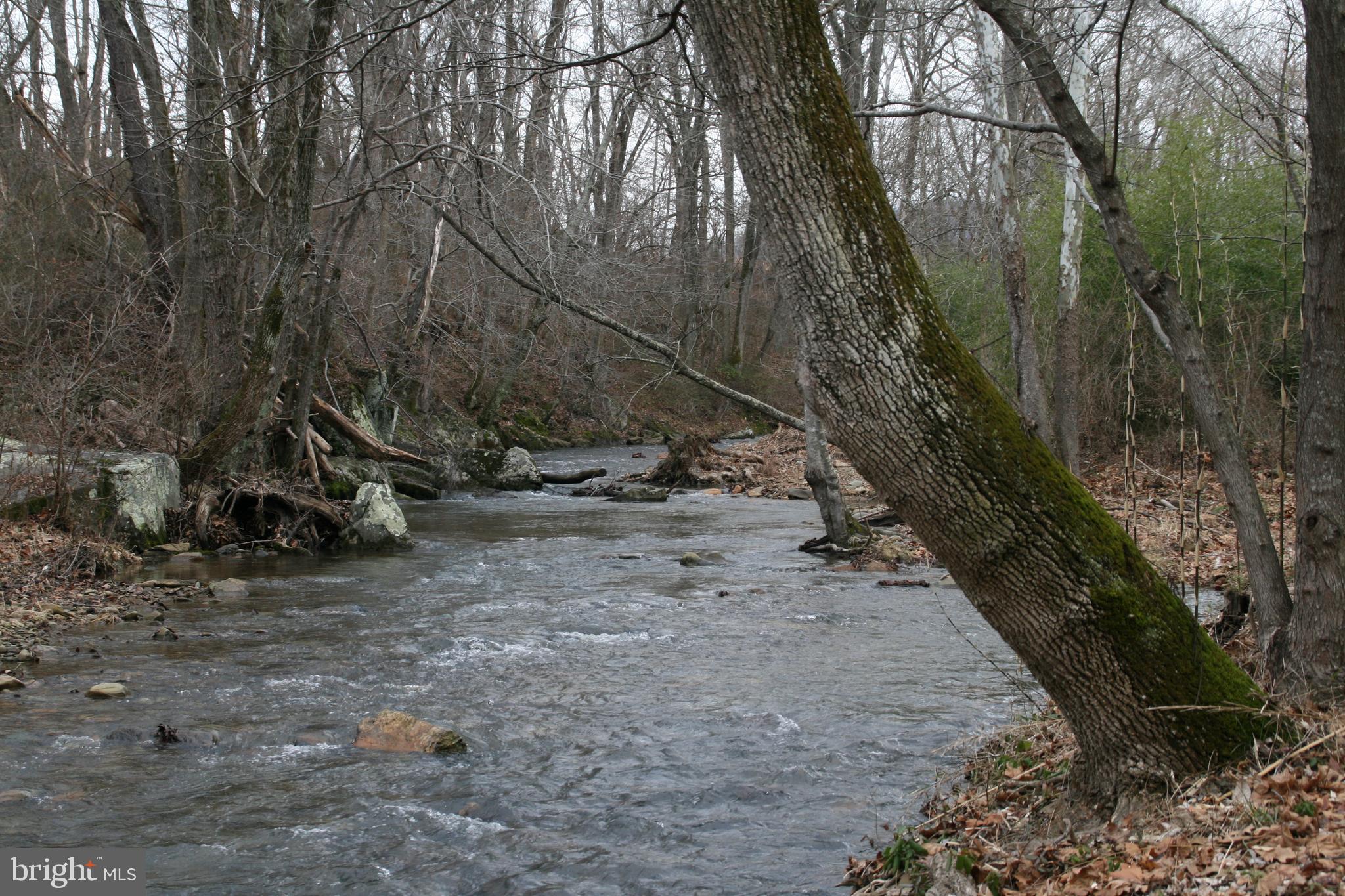 0 Tiger Valley Road Washington, VA 22747 - Photo 5 of 12 Nice river bank to have a picnic