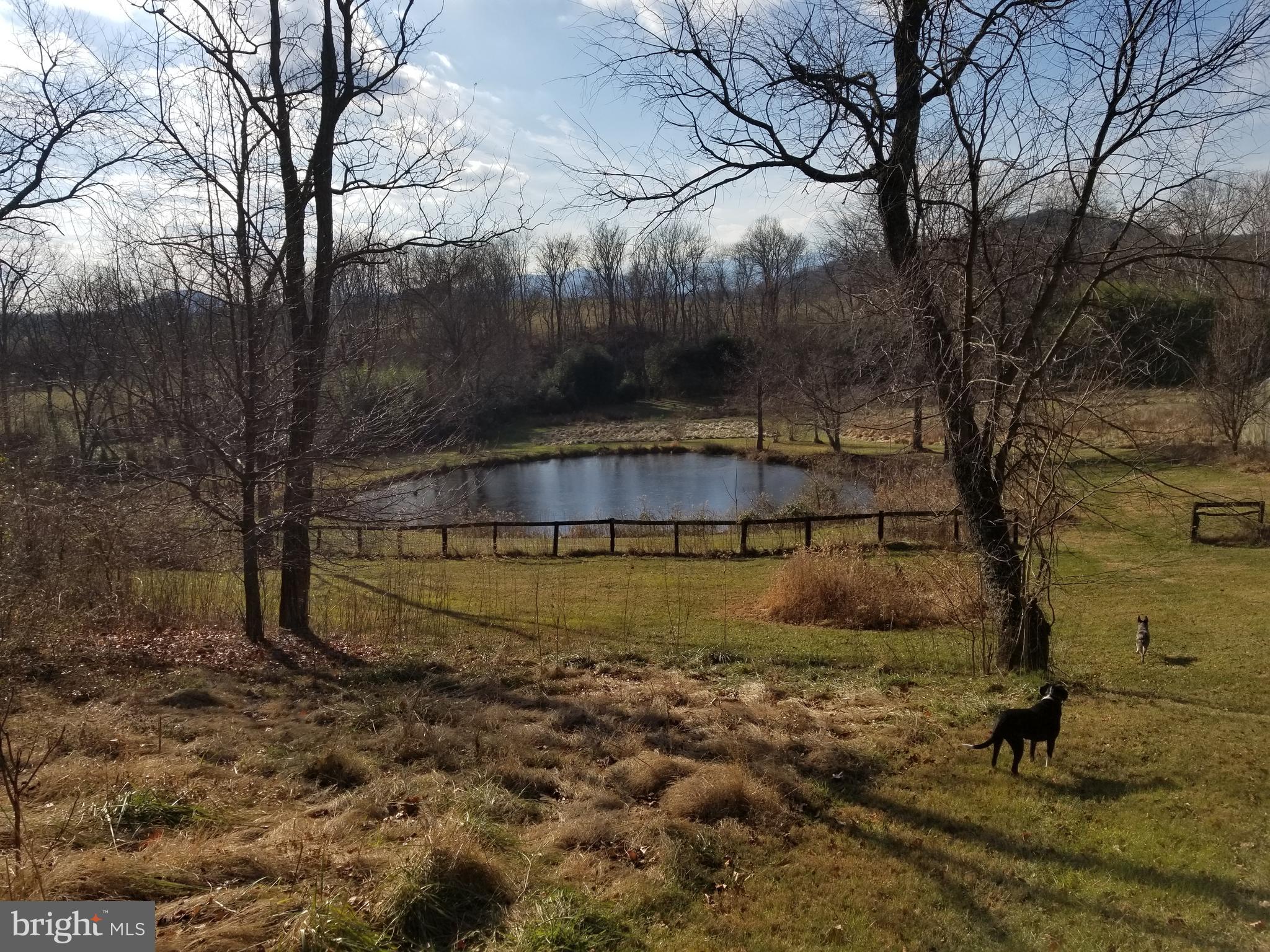 0 Tiger Valley Road Washington, VA 22747 - Photo 6 of 12 View of pond