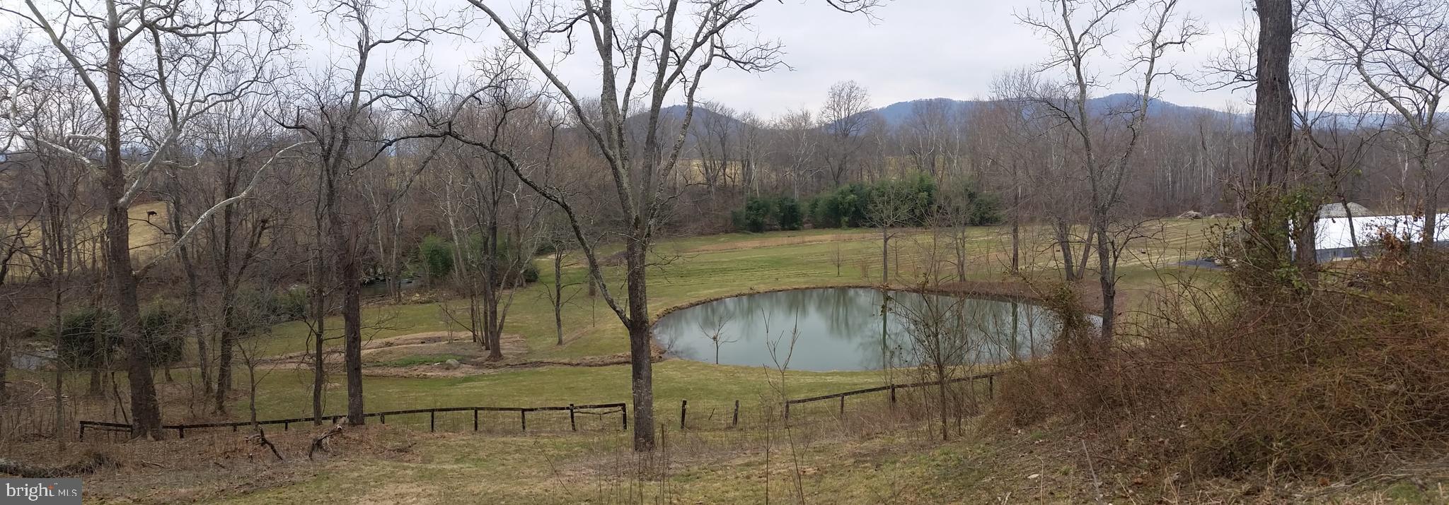 0 Tiger Valley Road Washington, VA 22747 - Photo 9 of 12 View of pond and pasture