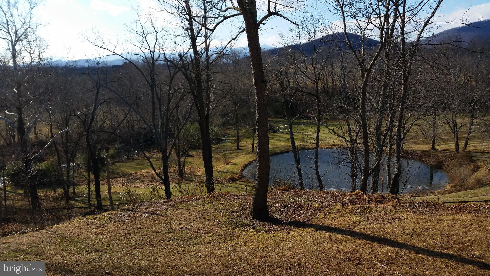 0 Tiger Valley Road Washington, VA 22747 - Photo 10 of 12 Pond