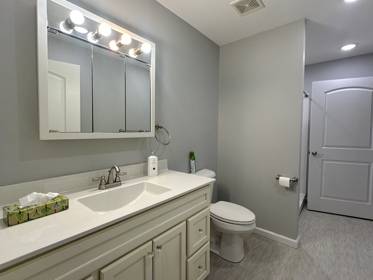 1519 Pine Street Murphysboro, IL 62966 - Photo 5 of 12 a bathroom with a toilet sink and mirror