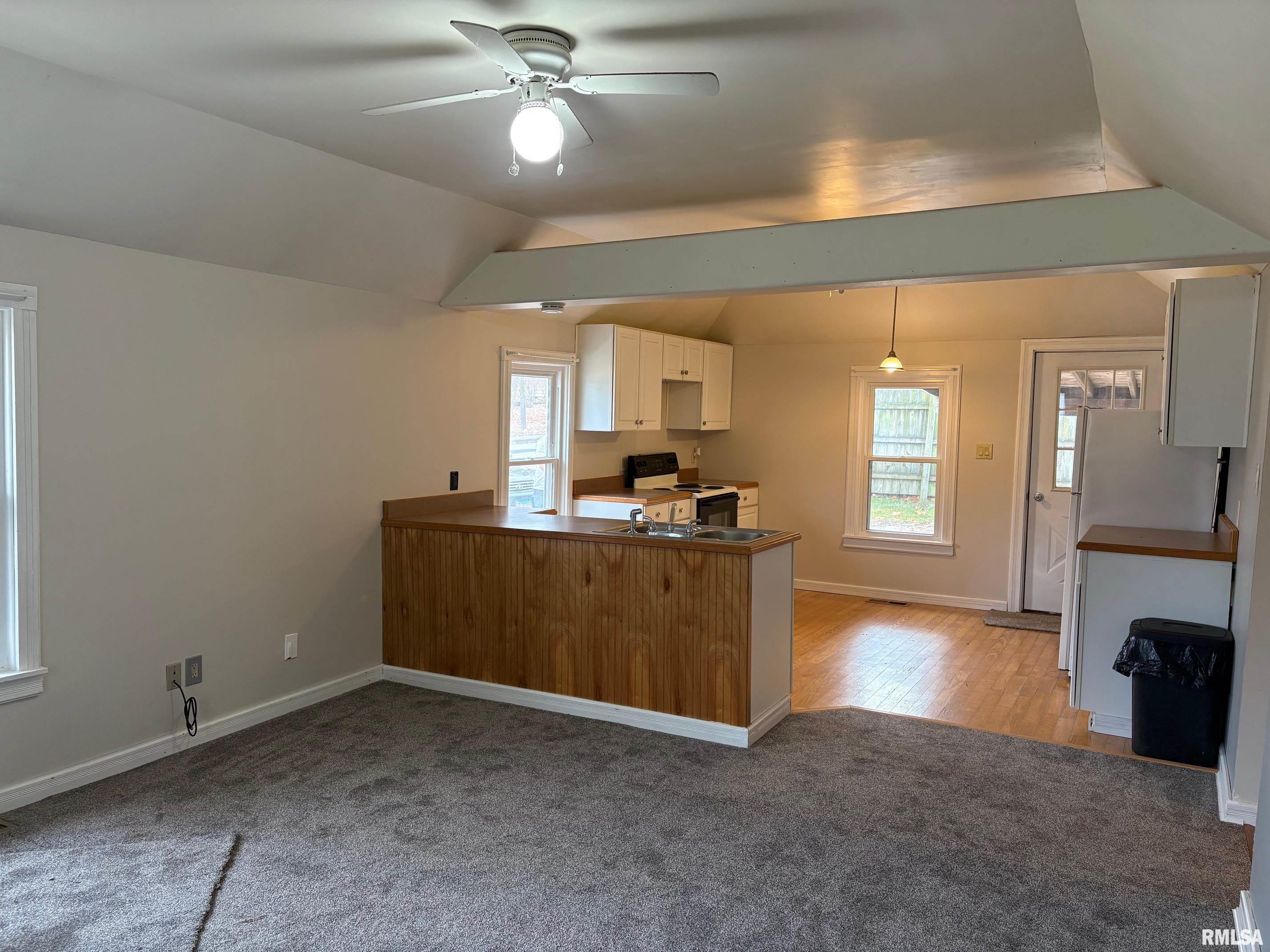 209 Locust Street Jacksonville, IL 62650 - Photo 4 of 19