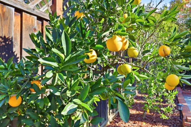 $1,980,000 | 5948 Garlough Drive, San Jose, CA 95123