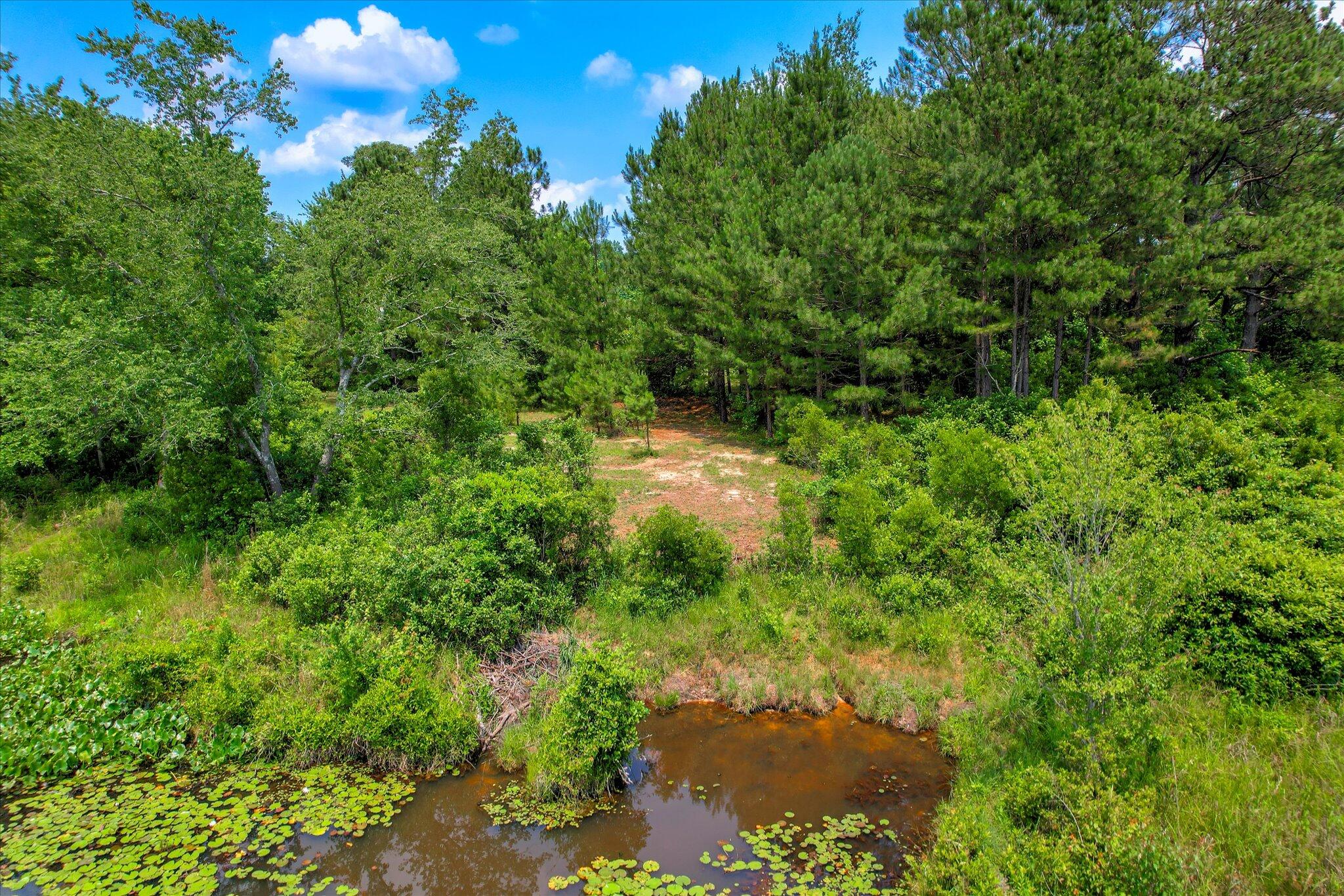 Lot 16 Reeves Street Aiken, SC 29805 - Photo 6 of 15