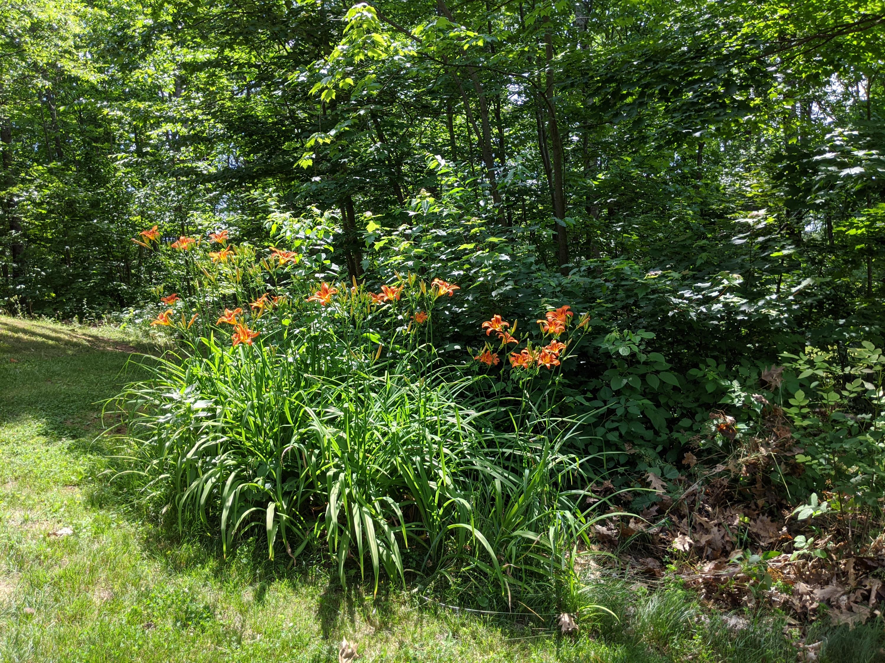 375 Hooper Road Shapleigh, ME 04076 - Photo 3 of 33 yard