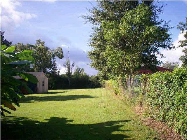 Plenty of room to have a vegetable garden and then some