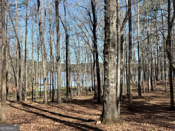 $919,900 | 209 River Oaks Drive, LaGrange, GA 30240