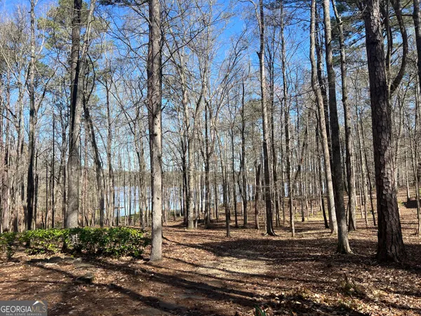 $919,900 | 209 River Oaks Drive, LaGrange, GA 30240