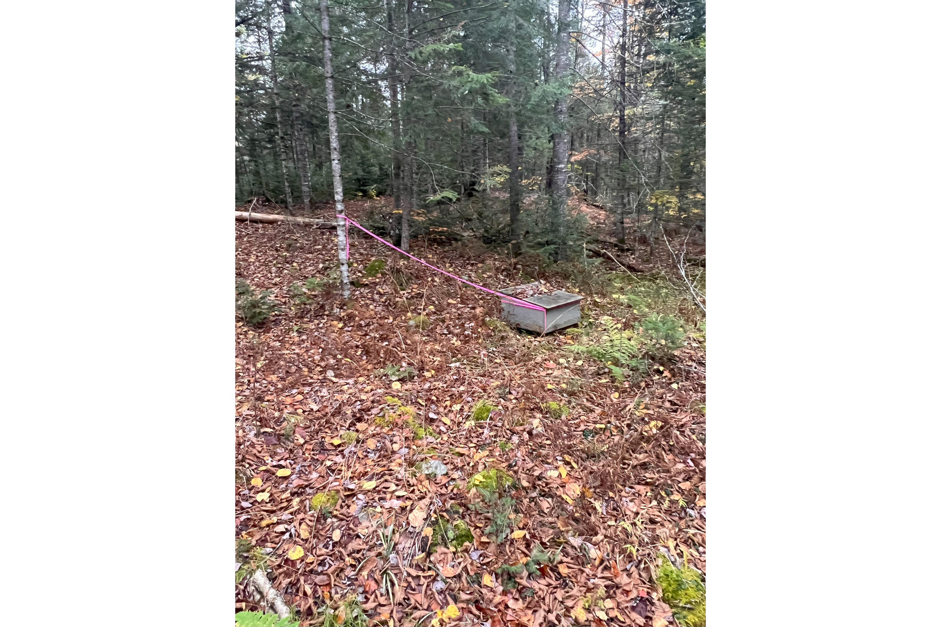 225 Brimstone Road Lagrange, ME 04453 - Photo 28 of 32 5