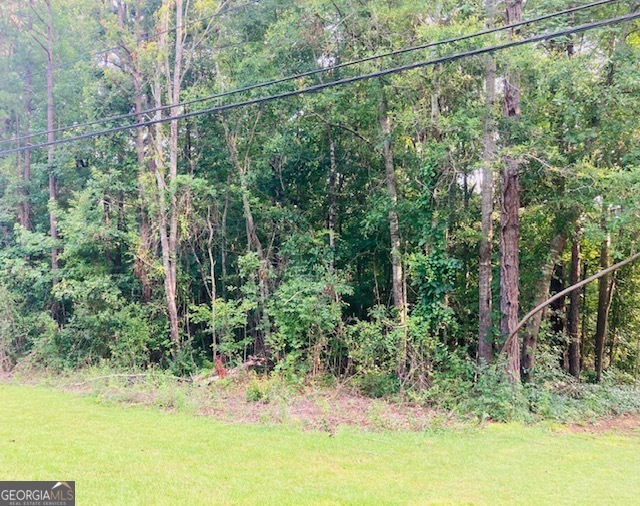 Lot 34 Twilight Shores Road Eatonton, GA 31024 - Photo 4 of 8