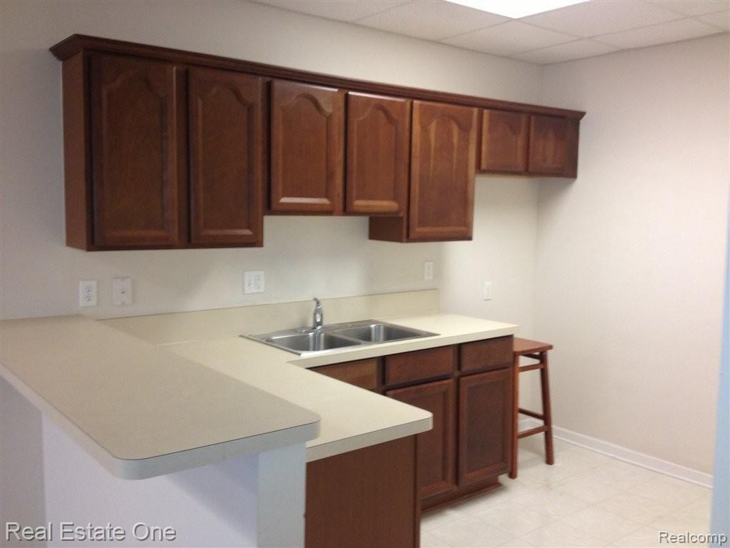735 East Bluff Court, Unit 2 Rochester, MI 48306 - Photo 13 of 14 12 Basement full kitchen with sn