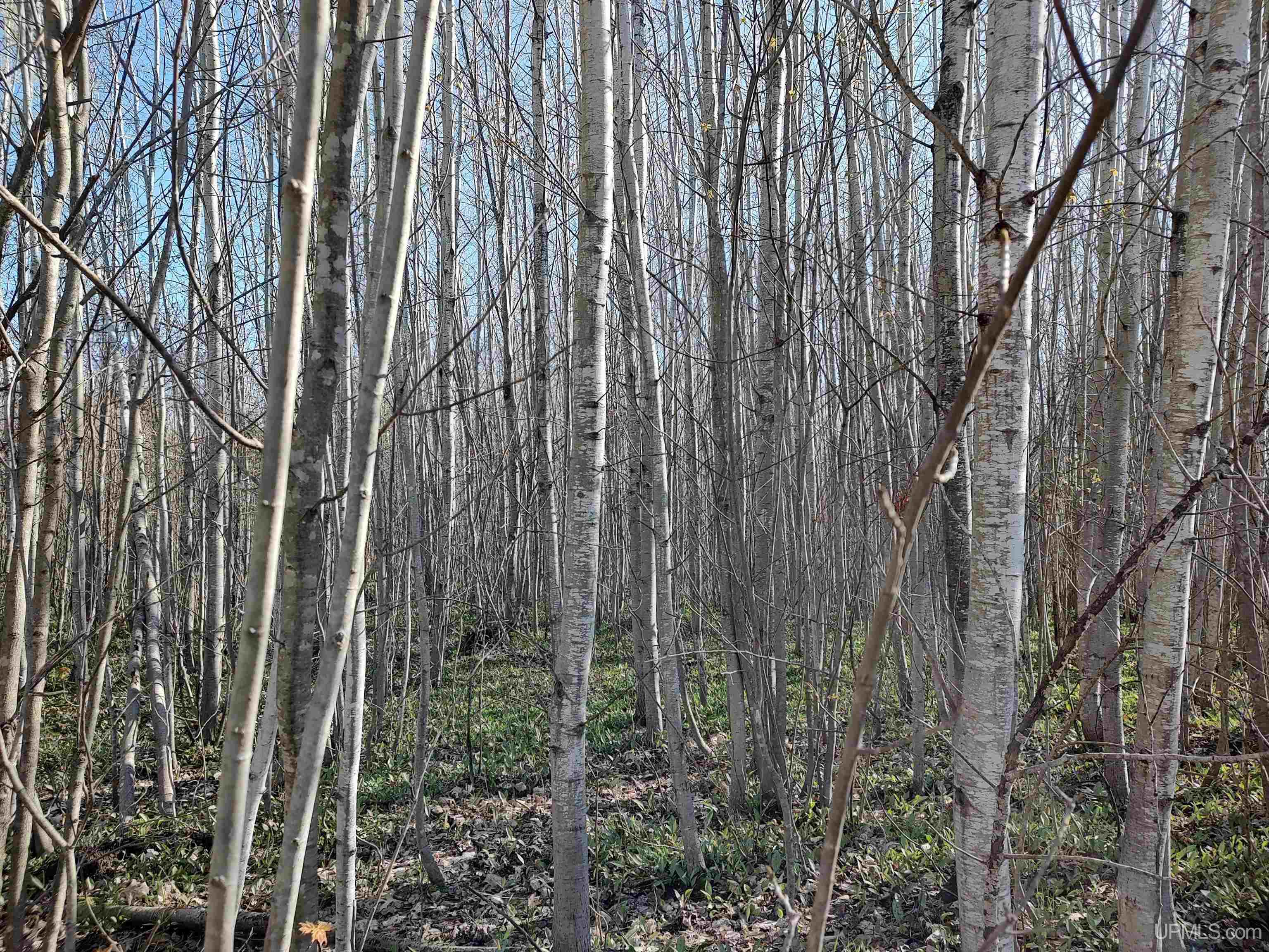 Tbd Tbd Schooner Road Ontonagon, MI 49953 - Photo 36 of 44