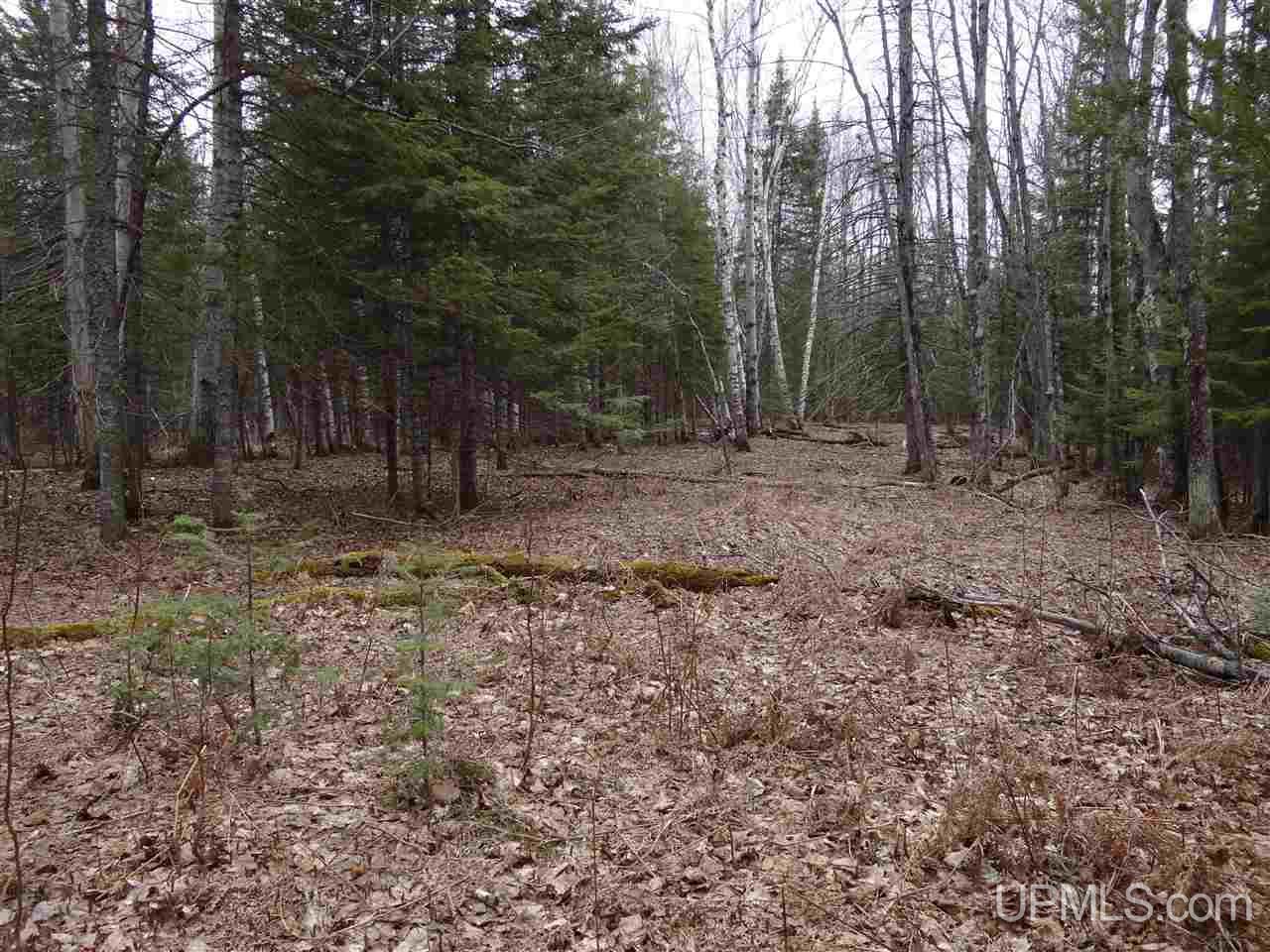 Tbd Dogpatch Road, Unit LOT I Lanse, MI 49946 - Photo 18 of 25