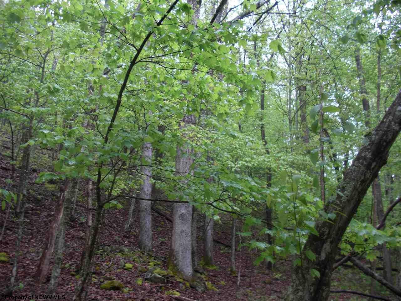 2822 Walnut Fork Road Camden, WV 26338 - Photo 7 of 20 Gallery Image 7