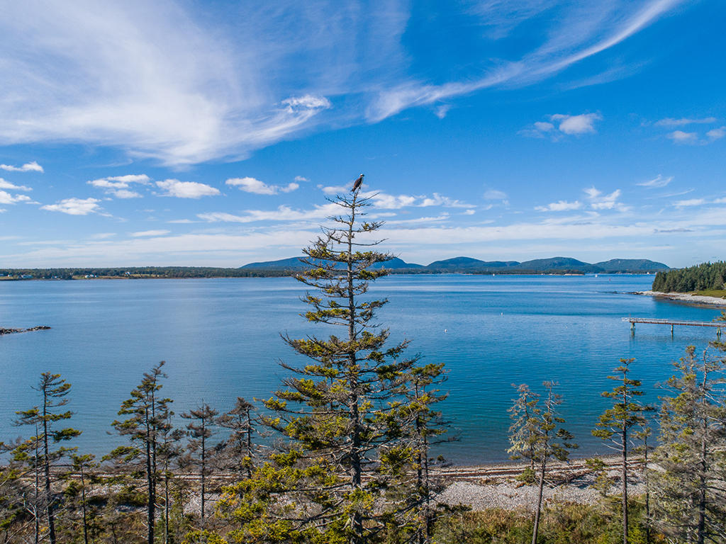 145 Cranberry Road Cranberry Isles, ME 04625 - Photo 29 of 29 CIRT-Cranberry21