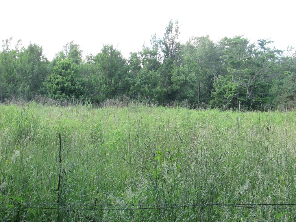 2373 Carter Road Montrose, PA 18801 - Photo 33 of 42 Gallery Image 33