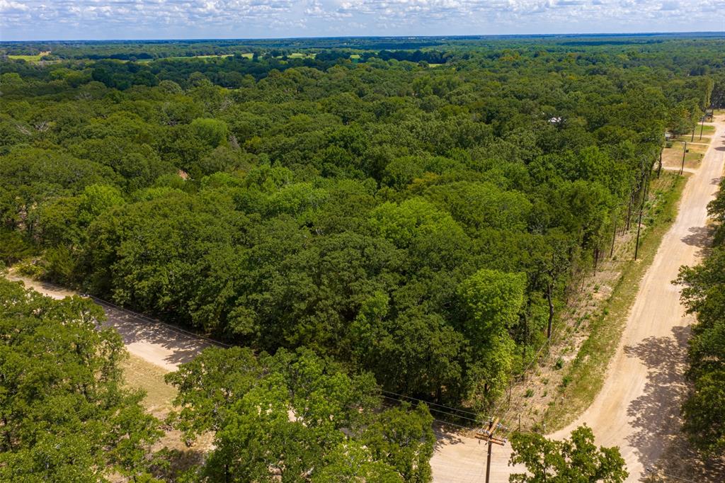 11748 River Ranch Road Kemp, TX 75143 - Photo 5 of 40 Gallery Image 5