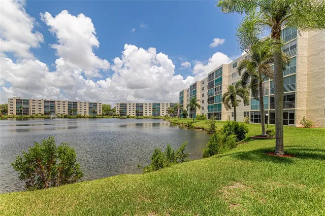a view of a lake with a big yard and palm trees