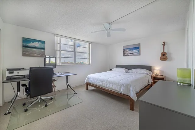 a view of a park with palm trees