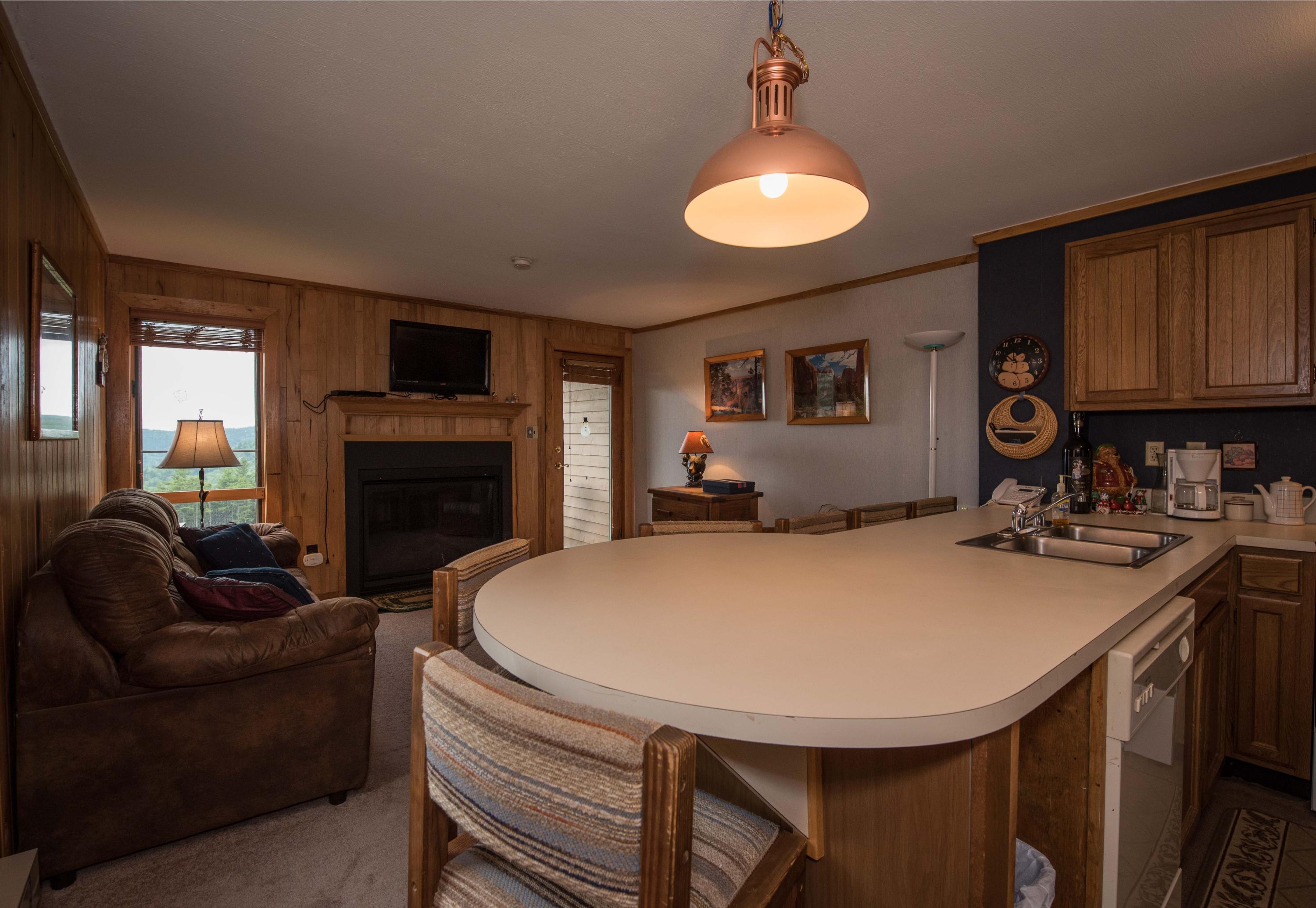 81 Powderidge Road Snowshoe, WV 26209 - Photo 2 of 14 Gallery Image 2