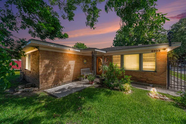 a view of a backyard with plants and large tree