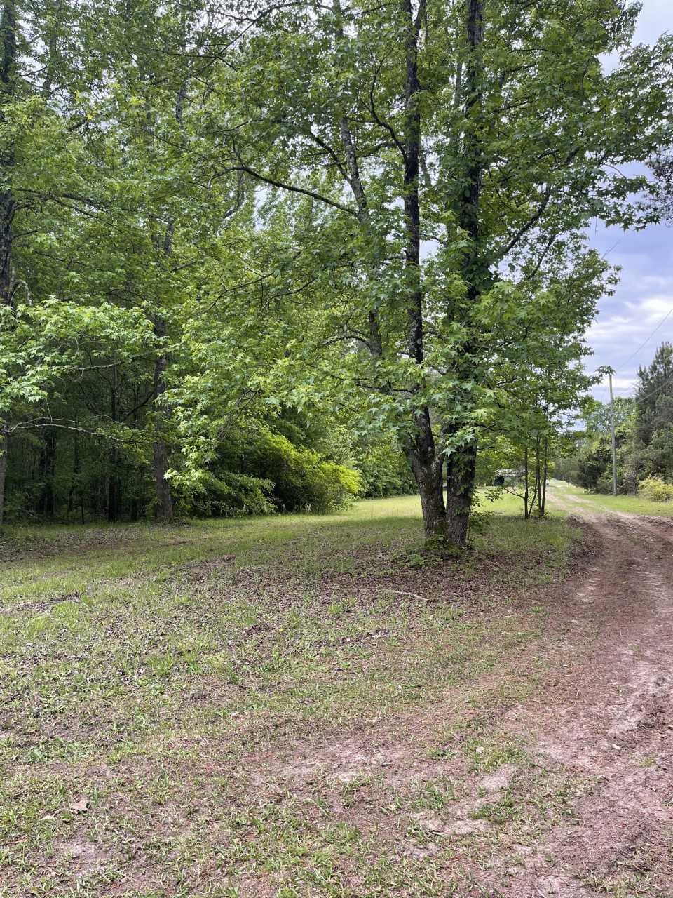 6031 Anderson Road Grovetown, GA 30813 - Photo 3 of 7 Anderson Rd 1