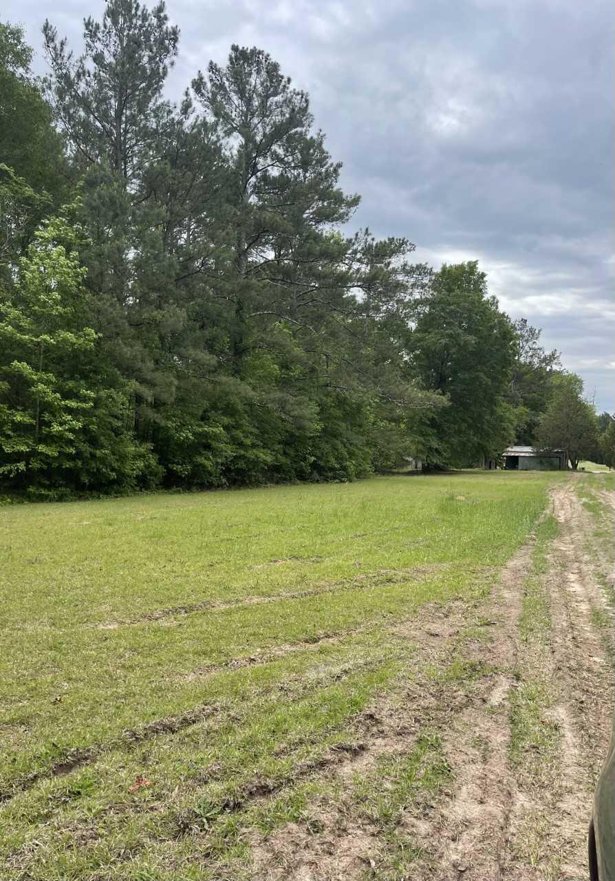 6031 Anderson Road Grovetown, GA 30813 - Photo 4 of 7 Anderson Rd 2