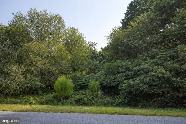 $30,000 | Lot A Salisbury Road, Ocean City, MD 21842