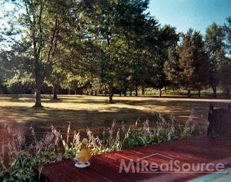 8659 Capac Road Brown City, MI 48416 - Photo 13 of 27 Gallery Image 13