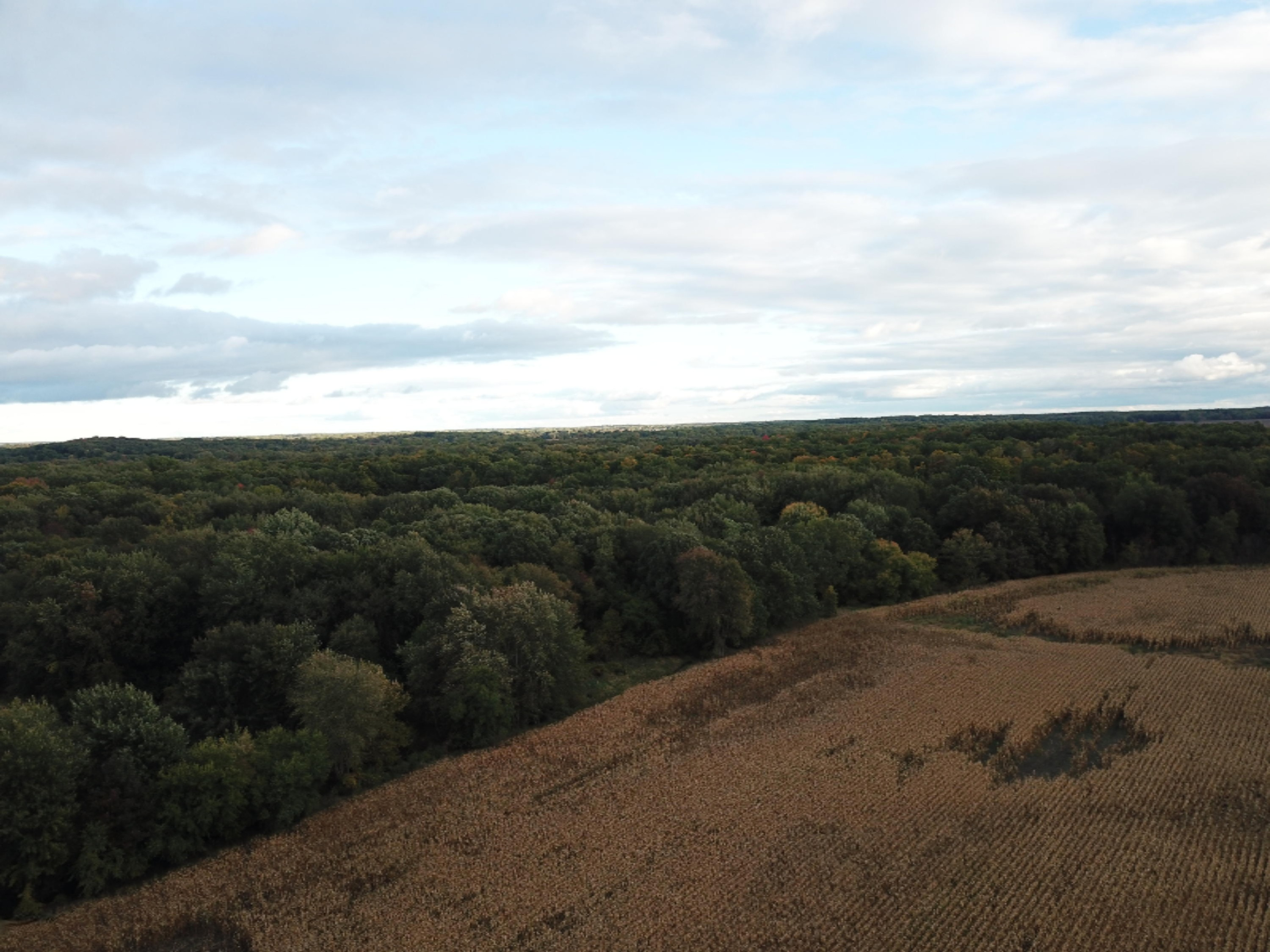 600 South Meridian Road Mason, MI 48854 - Photo 5 of 34 DJI_0012