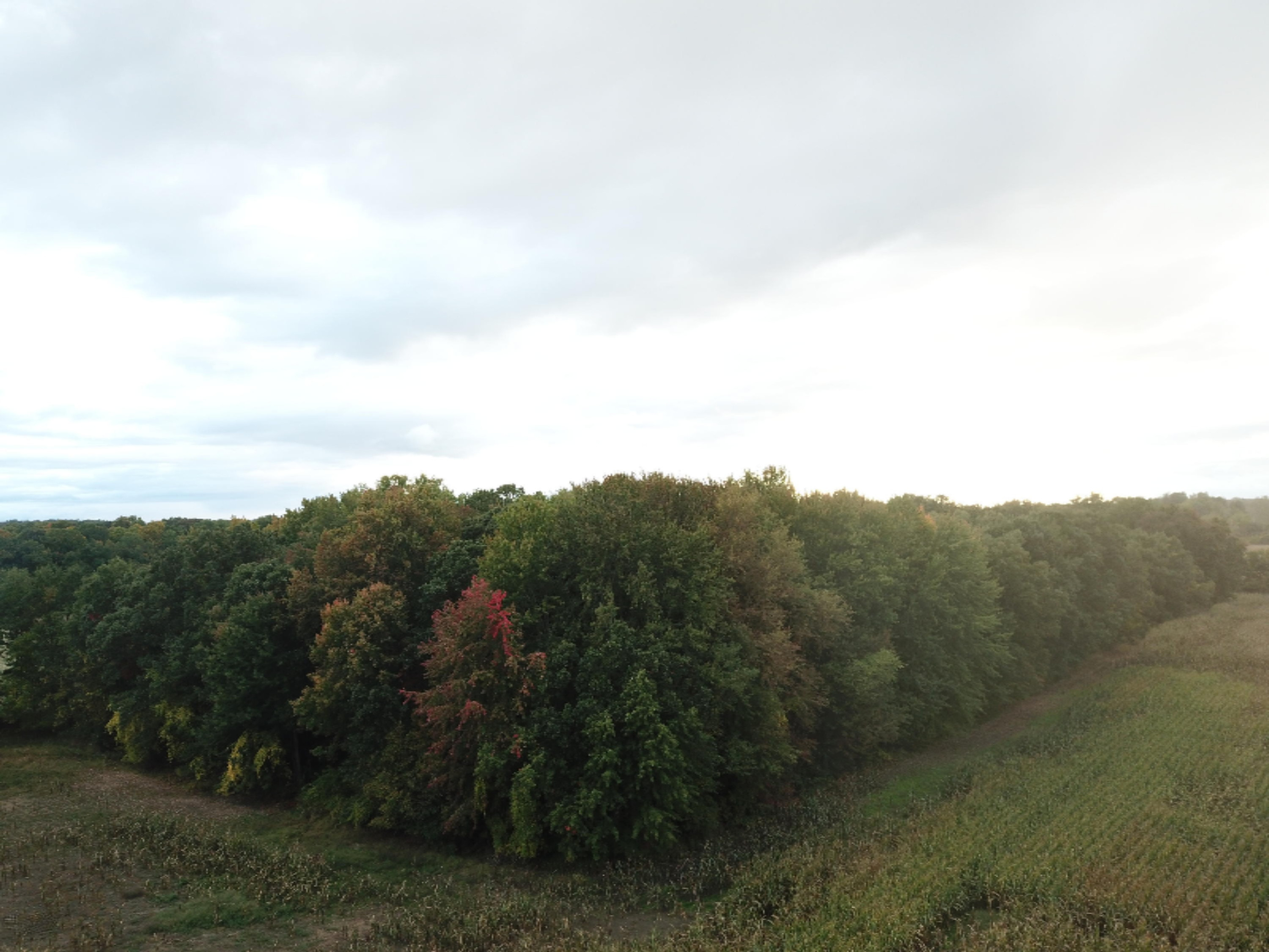 600 South Meridian Road Mason, MI 48854 - Photo 9 of 34 DJI_0022