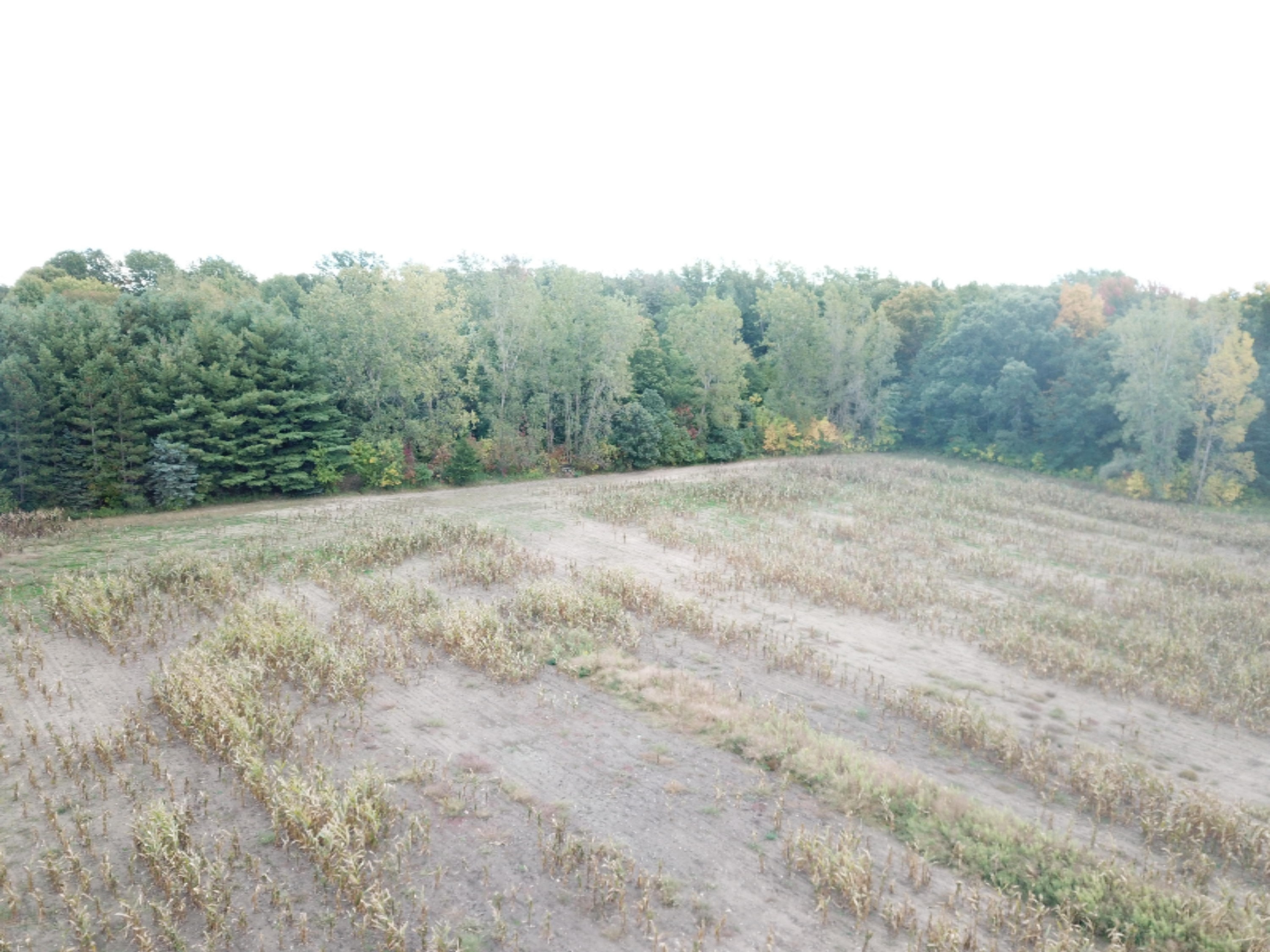 600 South Meridian Road Mason, MI 48854 - Photo 10 of 34 DJI_0025