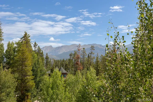 a view of a bunch of trees