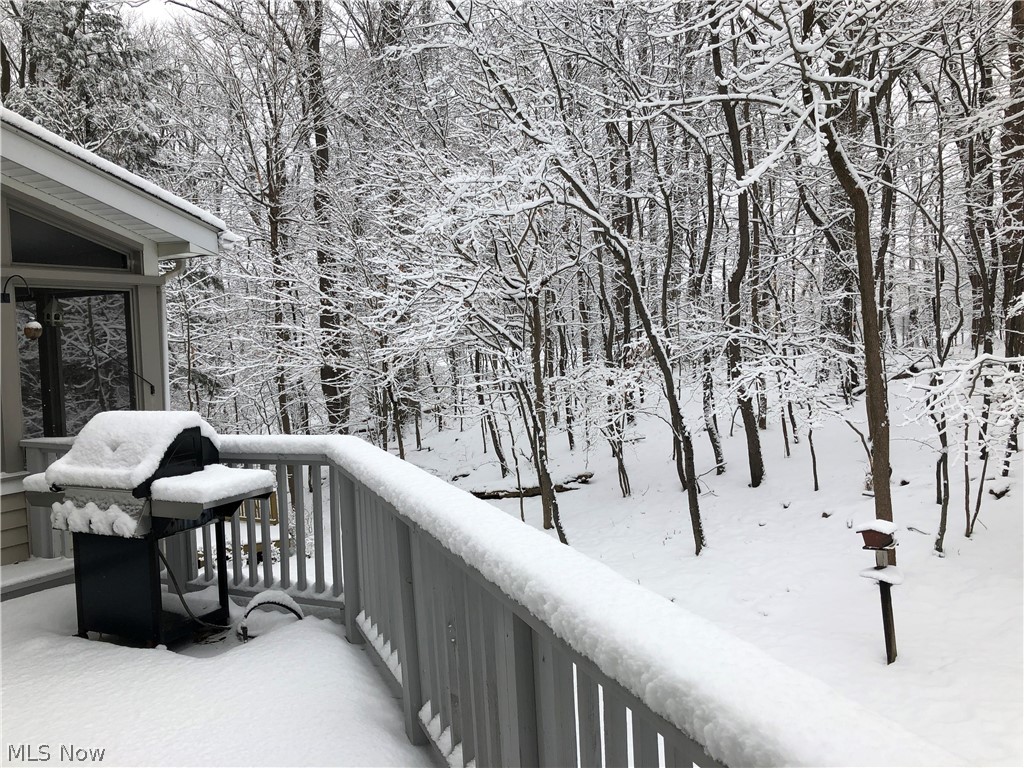 1801 Sheridan Road Cleveland, OH 44121 - Photo 33 of 34 Winter wonderland.