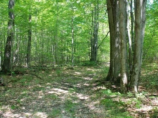 5691 Oak Ridge Drive Gladwin, MI 48624 - Photo 37 of 74