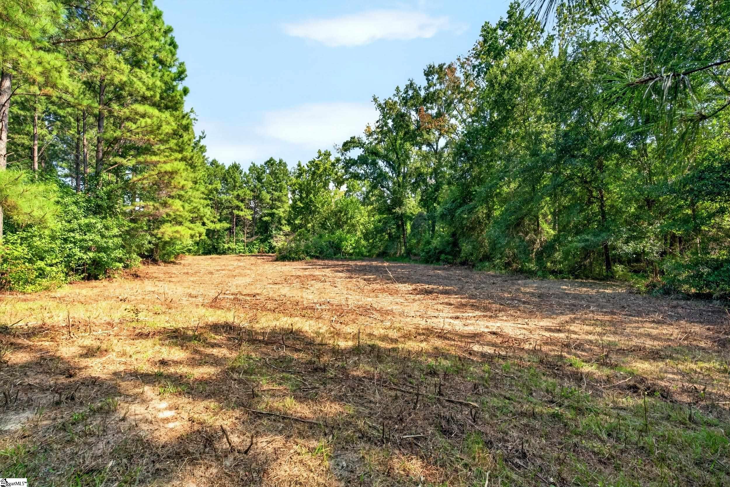0 Todd Road Honea Path, SC 29654 - Photo 10 of 26 Gallery Image 10