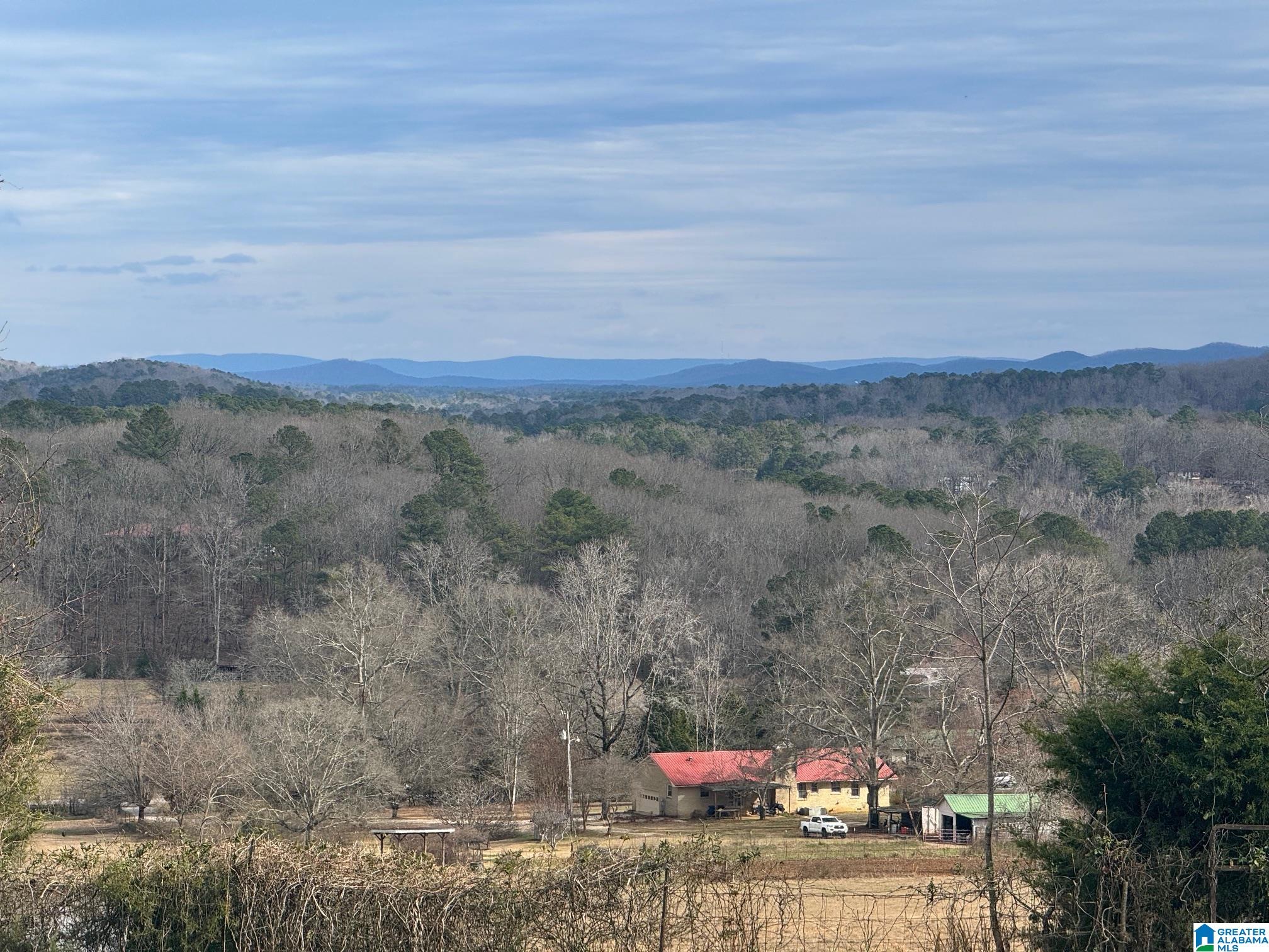3953 Logan Martin Dam Road Cropwell, AL 35054 - Photo 54 of 99