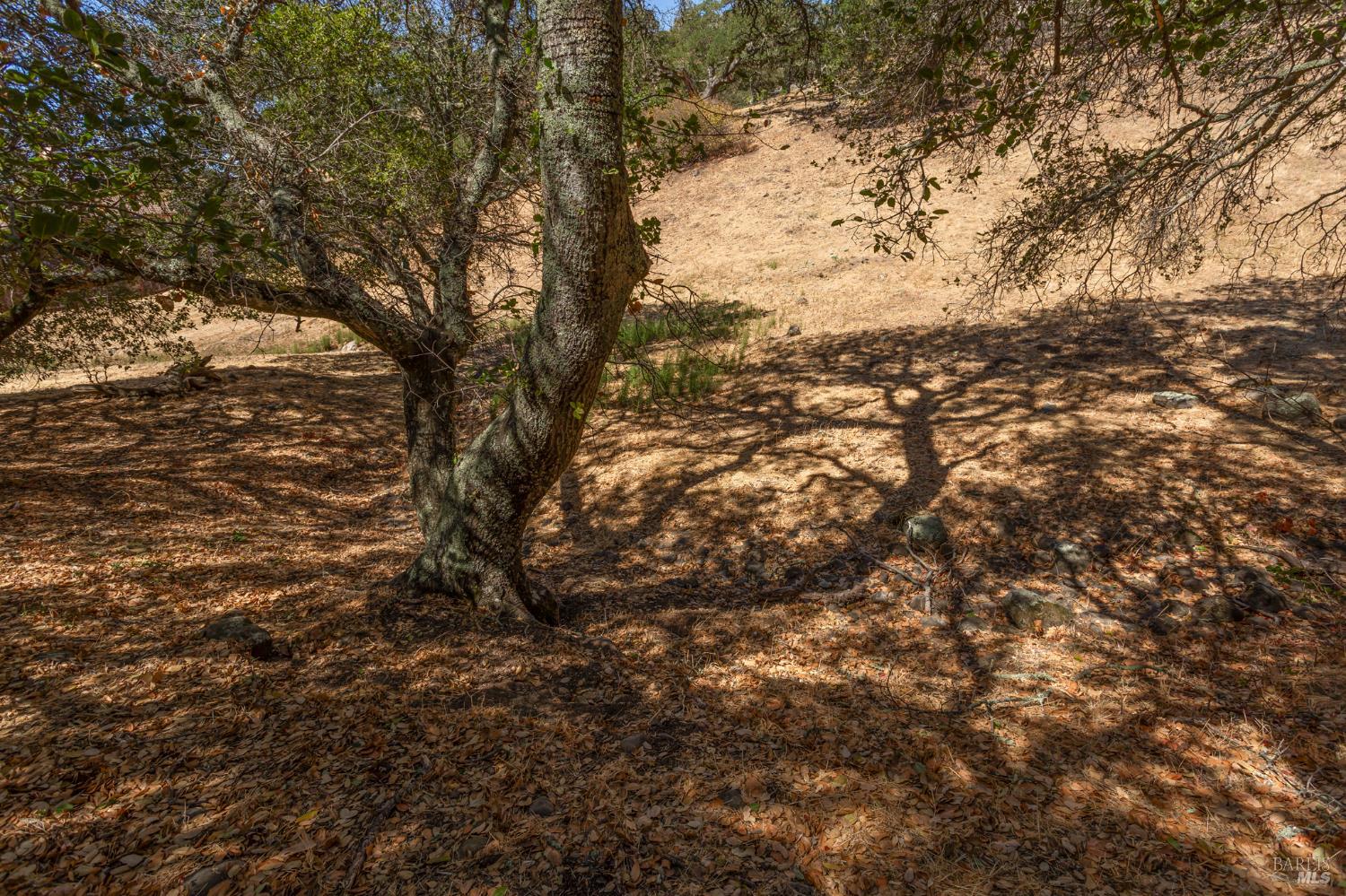 743 Bridle Ridge Court Fairfield, CA 94534 - Photo 57 of 96