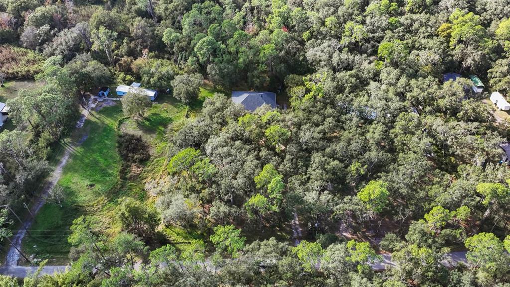 4028 Castlewood Road Seffner, FL 33584 - Photo 7 of 40