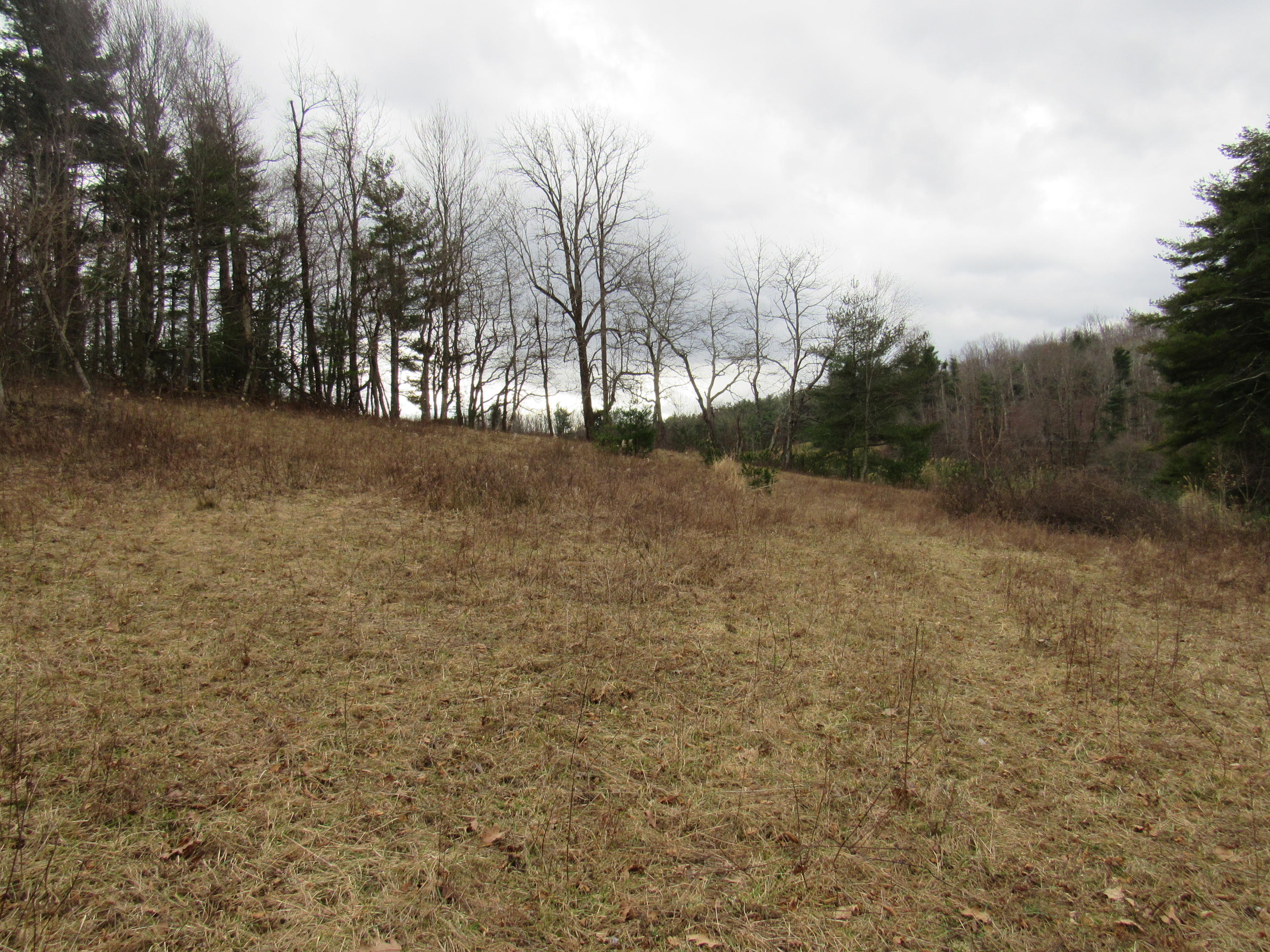 5 Conner Road Copper Hill, VA 24079 - Photo 13 of 19 a view of a yard with trees